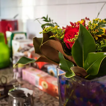 住宿加早餐酒店 卢卡·迪住宿加早餐旅馆